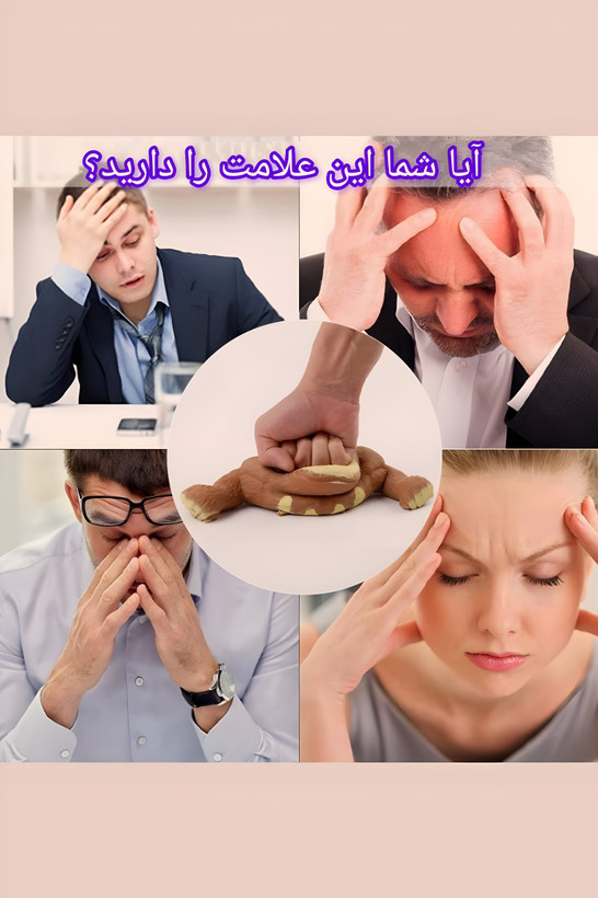 فیجت گوریل
